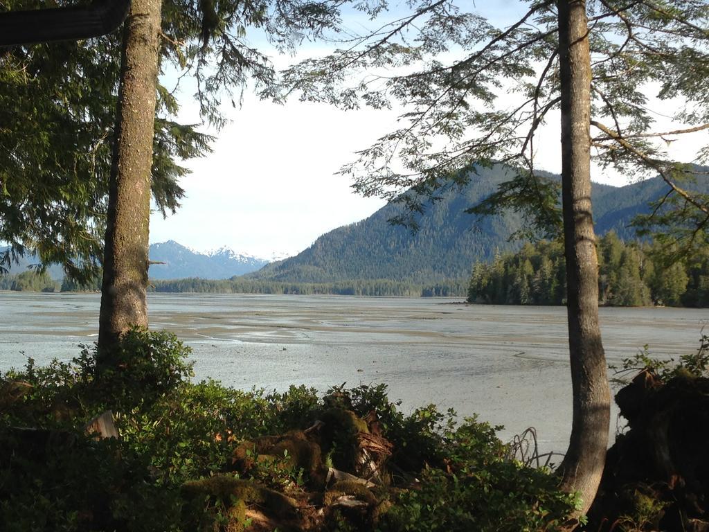 Black Bear Guesthouse Tofino Eksteriør bilde